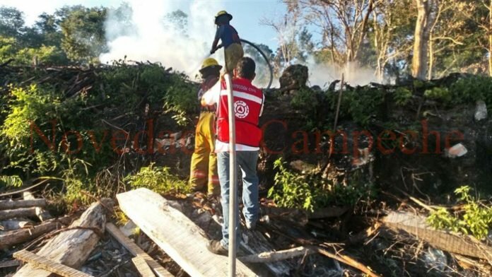 Más de media hora tardaron en sofocar el incendio en el aserradero.