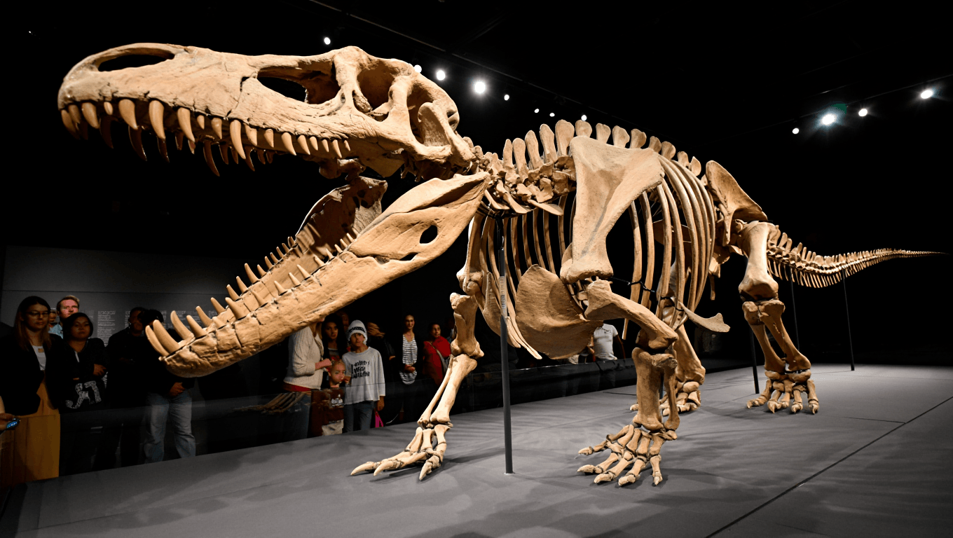 First Ever Complete Skeletal Cast of 30-Foot Extinct Alligator–See it in Georgia
