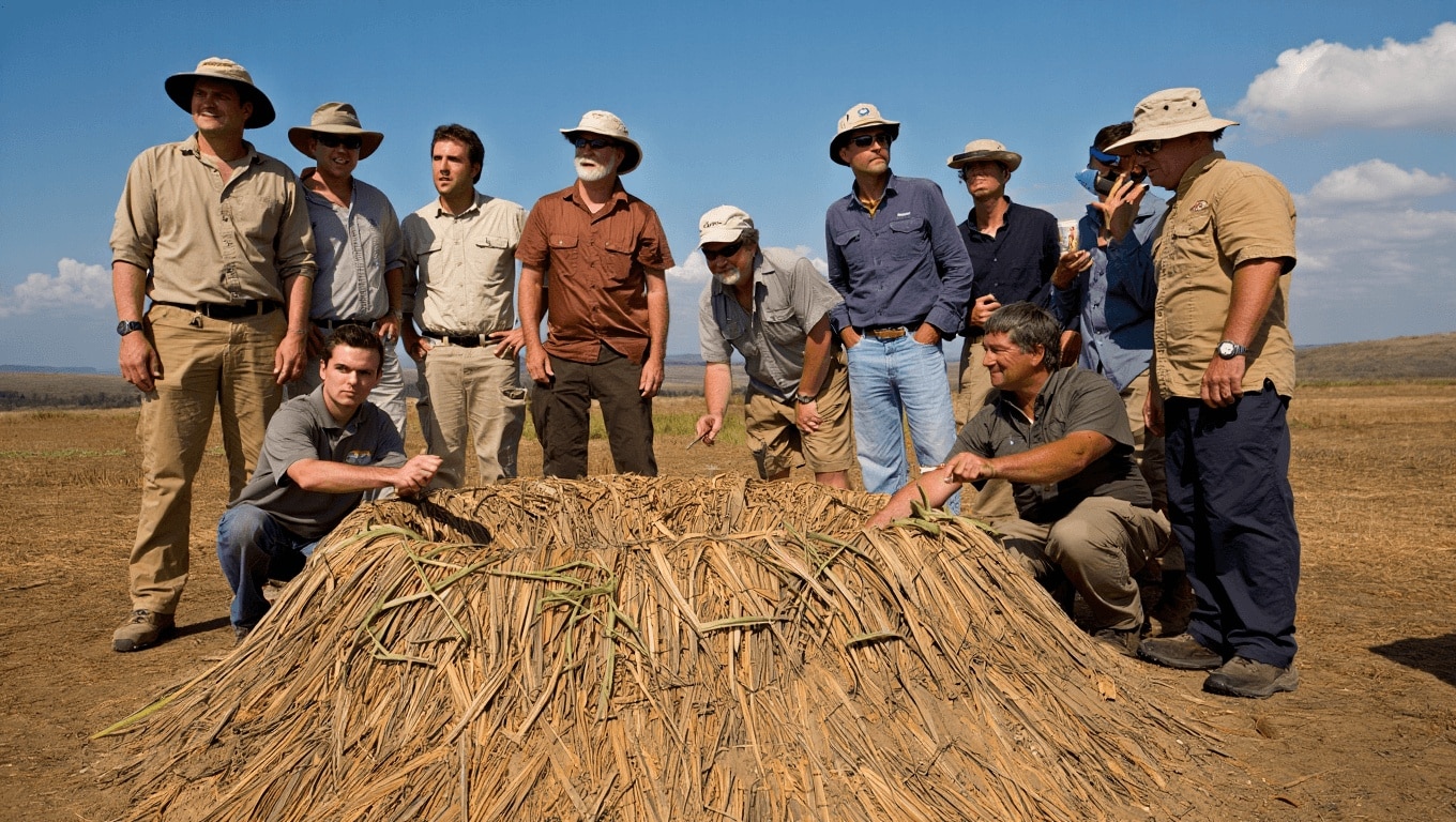 ¿Cómo incubaban los dinosaurios? Investigadores crean un gigantesco nido a tamaño real para comprobarlo