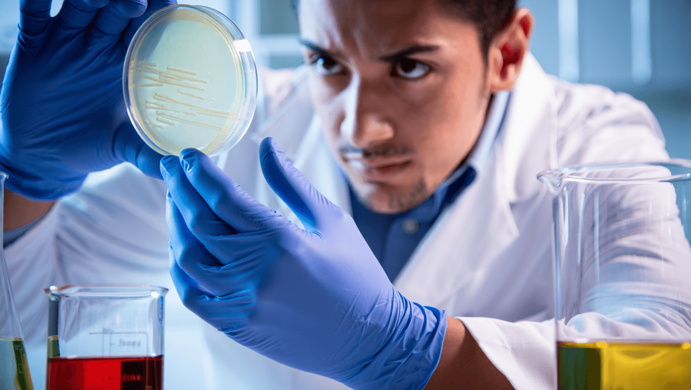 Virus ‘hablan’ entre sí: investigadores de la CEU UCH descubren comunicación entre bacteriófagos