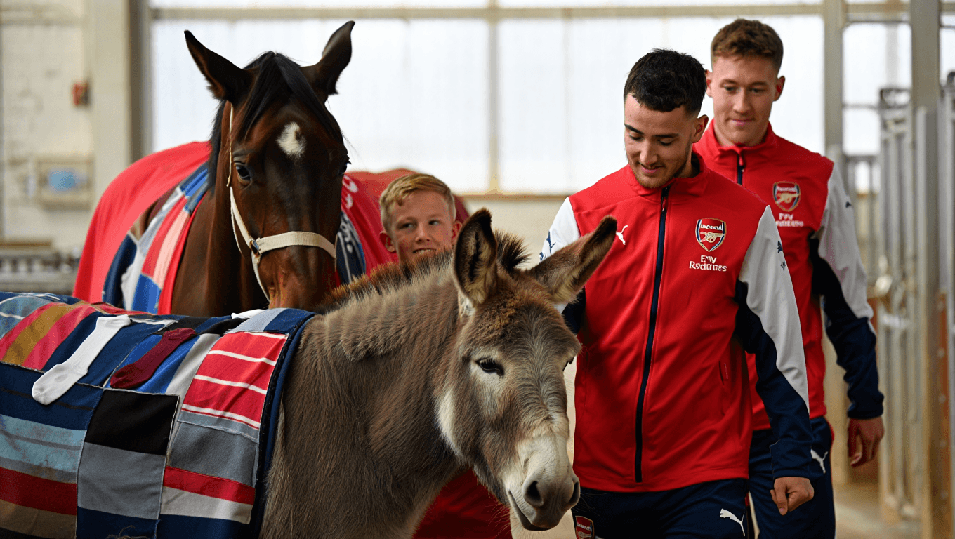 Heartwarming ‘Sock-er’ News: Arsenal Donates Old Football Socks to Sick Horses and Donkeys