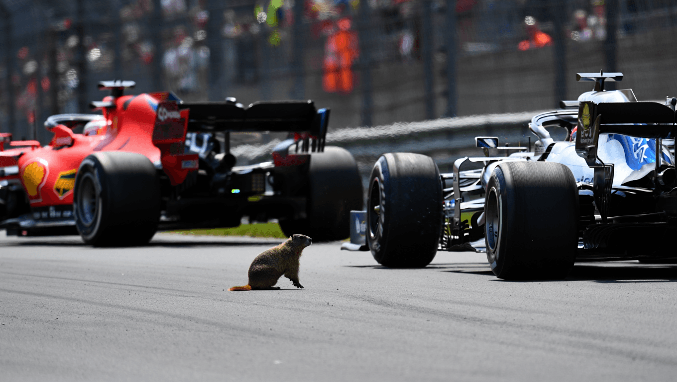 Video
                                    
                                
                                                                                    MARMOTA OCASIONA UN ACCIDENTE EN LA F1; Acá todos los detalles