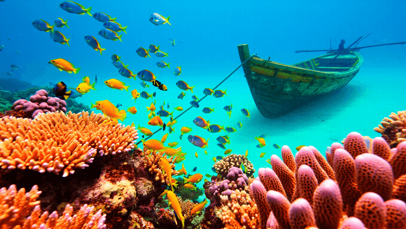 Papua New Guinea Sets Up Protected Ocean the Size of UK–Over 77,000 Square Miles