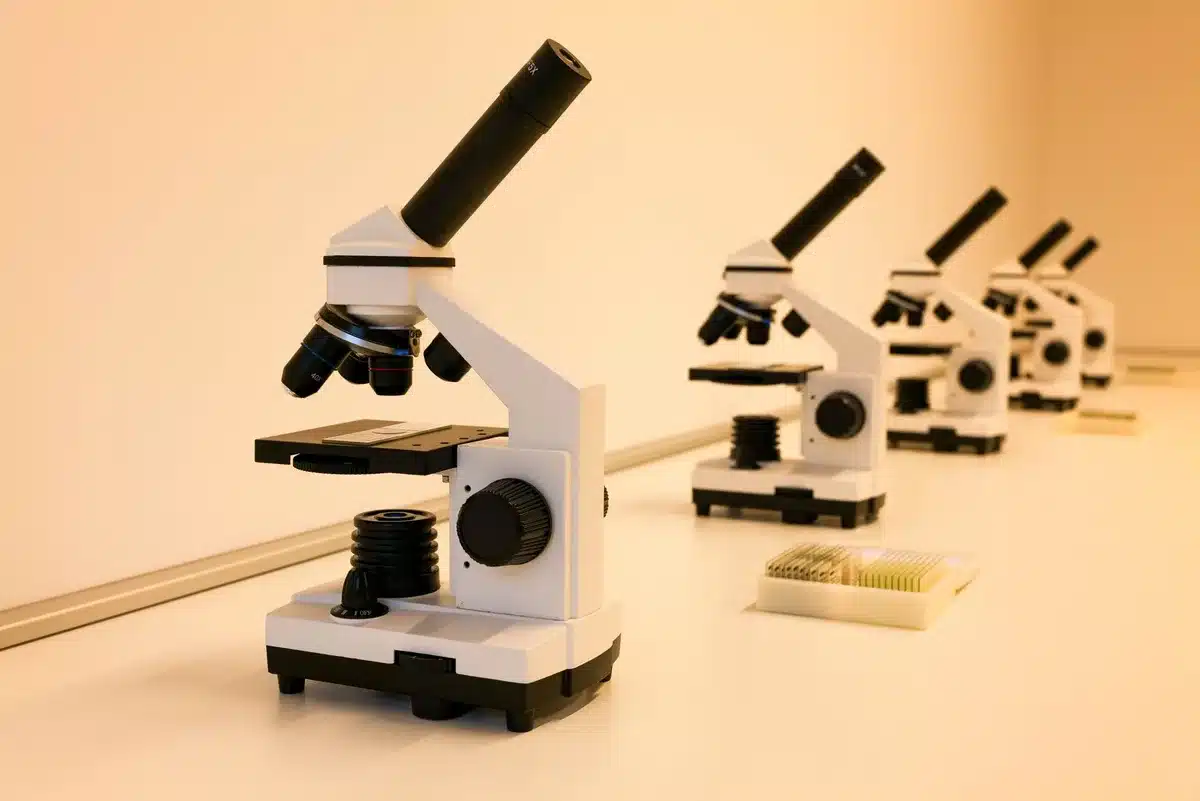 Manos anónimas de investigador examinando muestras de células bajo microscopio en laboratorio de inmunología.