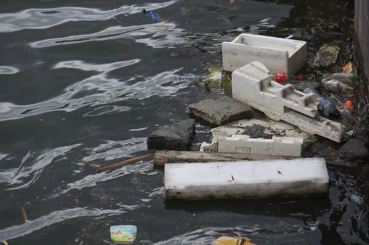 Trabajadores restaurando márgenes de río urbano con vegetación nativa