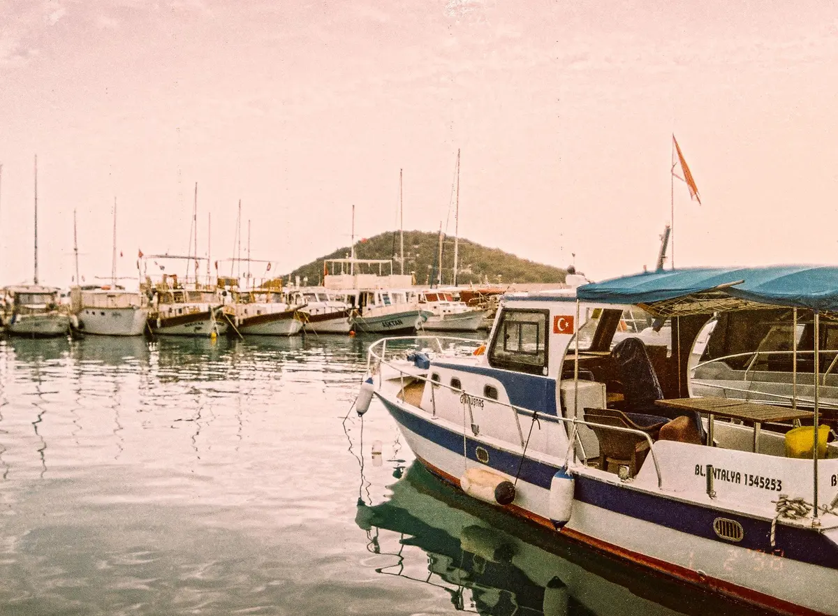 A split-screen comparison showing a photo before and after applying a custom color filter, with warm autumn tones on one side and cool blue tones on the other, demonstrating the visual transformation.