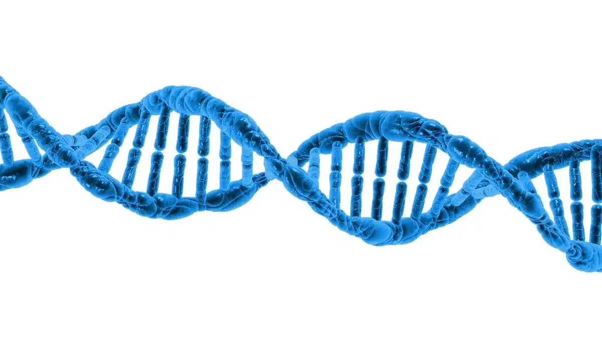 Proteína molecular capturando y neutralizando toxinas en ambiente de laboratorio médico