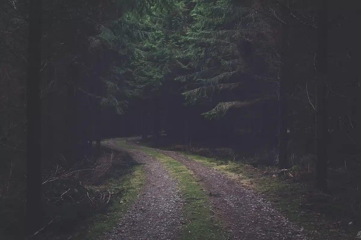 Narrow road through dense jungle leading to an isolated hotel complex, no identifiable people