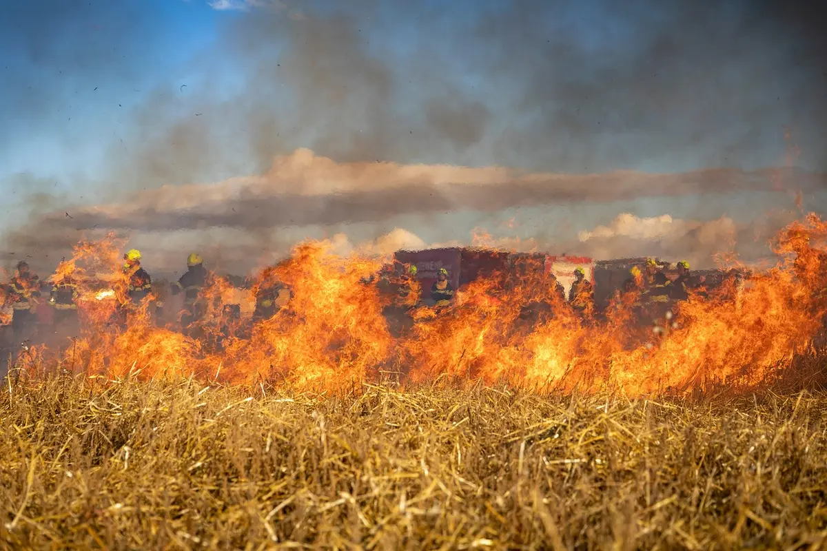 Patrulla en zona de turberas con humo y vegetación quemada