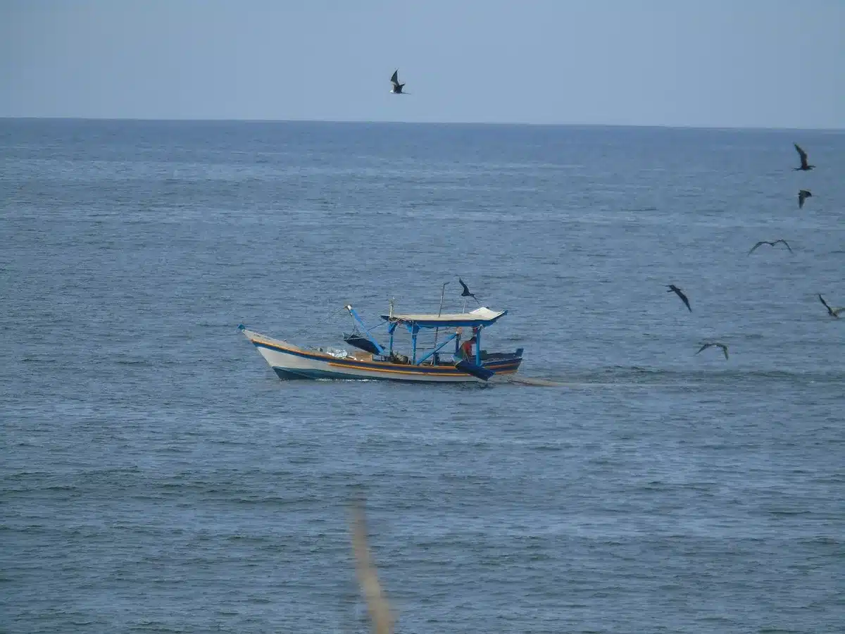 Wide coastal scene at dawn with an anonymous small fishing boat beached near mangroves; no people visible, damp sand and scattered fishing gear