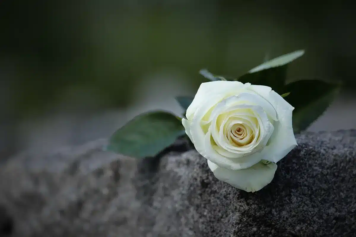 Close-up of an anonymous pair of hands folded on a black suit sleeve beside a simple condolence card on a wooden table, no names visible