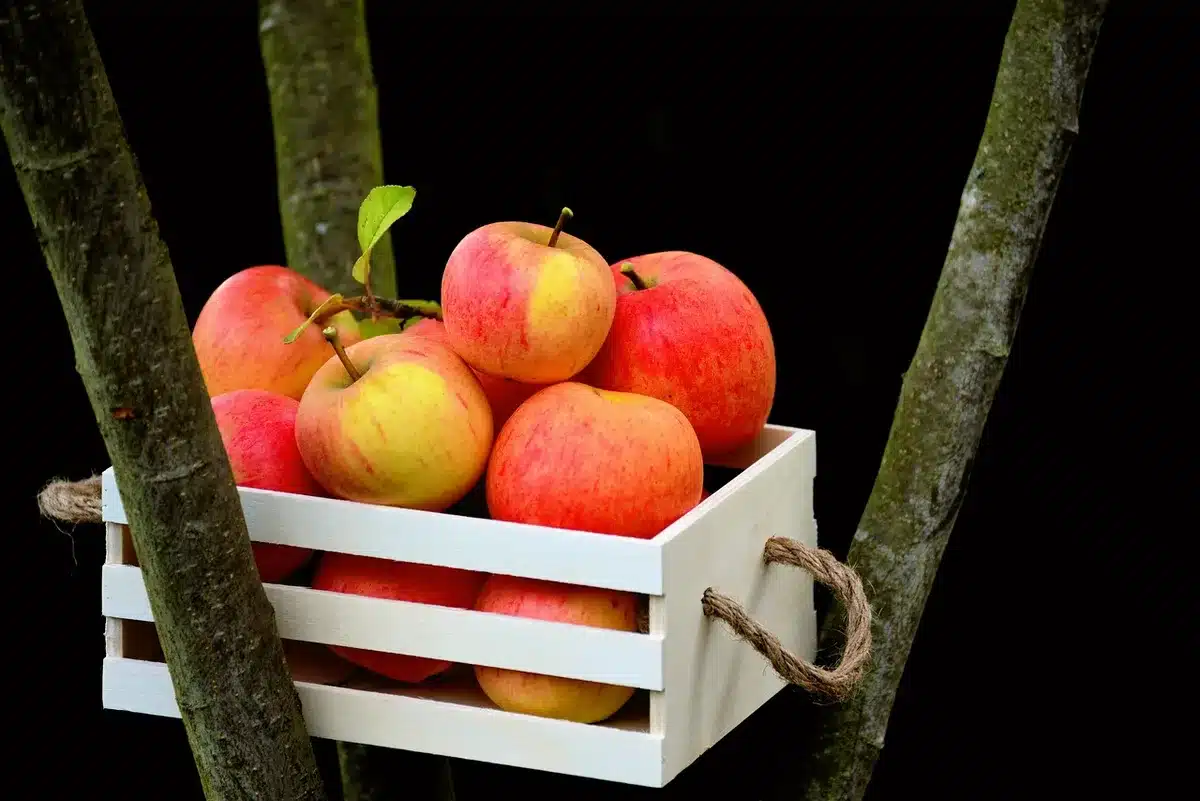 close-up of unbranded produce crates with handwritten-style price tags, colorful fruits and vegetables
