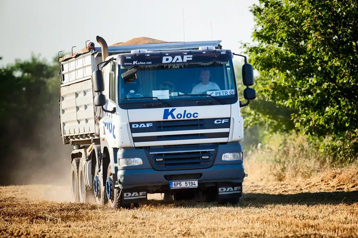 Anonymous silhouette of a lone driver standing by an unbranded large truck under a streetlight beside a rural highway, tense posture, no identifiable features