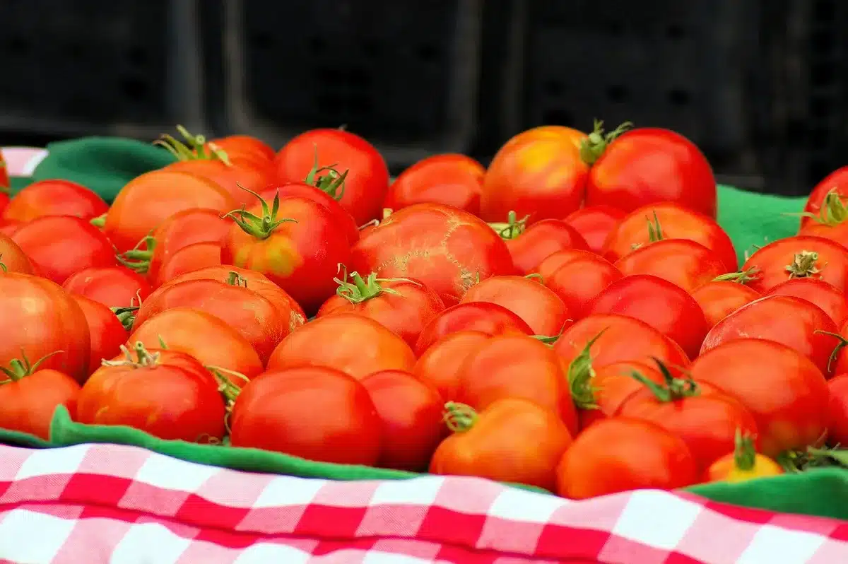 Empty produce display with stacked crates of generic red tomatoes and a handwritten small price tag reading only numeric price, no logos
